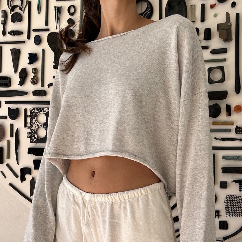 Brandy Melville Cameron Light Gray Long Sleeve Crop Top
